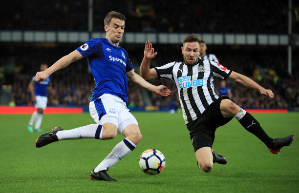 增添了更多 增添了更多