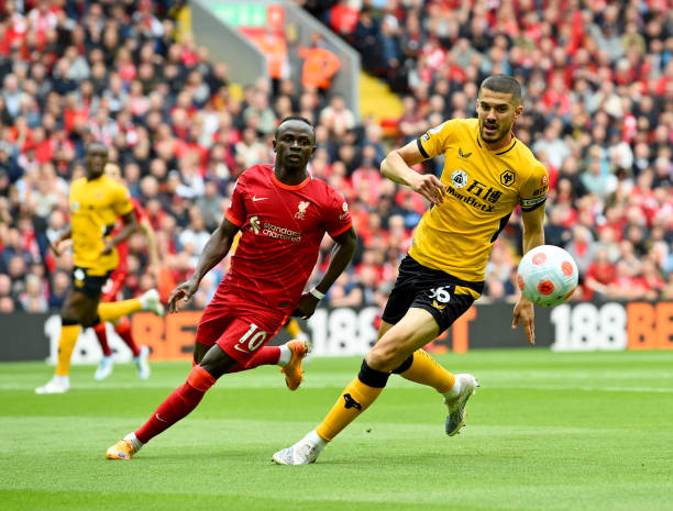 生深远影响 生深远影响